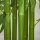 Künstlicher Bambus groß 160 cm Kunstpflanze, Kunstbambus, Plastik Künstliche Pflanzen im Topf, Fake Plant wie echt für Wohnzimmer Schlafzimmer Büro Garten Moderne Dekoration Geschenk