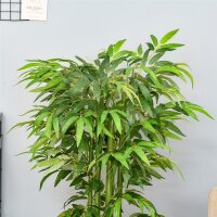 Künstliche Pflanze, Bambus aus Kunststoff im Topf, 780 Blätter, realistischer Look, kaum Pflegeaufwand, 140 cm, Grün