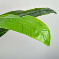 künstliche Pflanzen 150 cm Kunstpflanzen im Topf künstlicher Bananen Baum Kunstpflanze Kunstbaum Zimmerpflanze Dekopflanze Büropflanze Kunststofftopf für drinnen