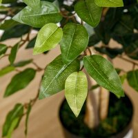 Künstlicher Ficus-baum groß 150 cm Kunstbaum, Kunstpflanze, Plastik Künstliche Pflanzen im Topf, Fake Plant wie echt für Wohnzimmer Schlafzimmer Büro Garten Moderne Dekoration Geschenk