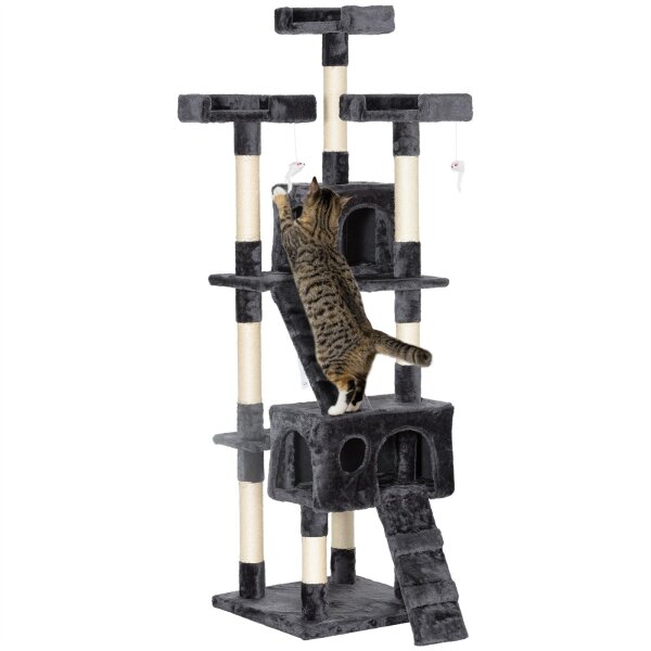 Kratzbaum mit Katzenhöhle Leiter XXL Katzenbaum Kletterbaum Kletterbaum für Katzen Mehrstufiges Multiaktivitätszentrum Plüsch Grau 49 x 49 x 173 cm