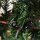 Künstlicher Weihnachtsbaum 150 cm Tannenbaum künstlich mit 444 Spitzen, 3 verschiedenen Blätterformen flammhemmend Christbaum mit Metallständer für drinnen