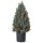 Mini Weihnachtsbaum mit Tannenzapfen, roten Beeren und Übertop 50 cm hoch, Mehrfarbig