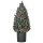 Mini Weihnachtsbaum mit Tannenzapfen, roten Beeren und Übertop 50 cm hoch, Mehrfarbig