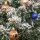 Mini Künstlicher Weihnachtsbaum 60 cm Tannenbaum künstlich mit Schnee, 67 Spitzen Zementbasis für drinnen Büro