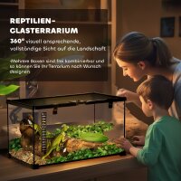Reptilienbox Terrarium, inkl. Streifenthermometer, Fütterungsklappen, 50 cm x 30 cm x 25 cm, Glas + Metall, Schwarz