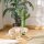 Katzen Kratzbaum Kaktus Katzenbaum Kiefernholz Sisal Seil Kratzstamm mit Holzkugel-Katzenspielzeug für Katzen 60 cm Hoch Grün+Natur