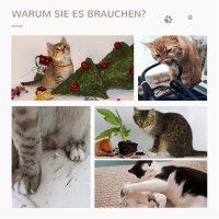 Kratzstamm für Katzen Kratzsäule aus Sisal stabiler Kratzbaum Kratz Spielzeug Katze mit Ball 60 cm Spanplatte Sisal Beige+Eiche 34 x 34 x 60 cm