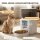 Futterautomat Katze mit Kamera, 2,4 GHz WLAN, App-Steuerung, 4L Futterautomat für 1–10 Mahlzeiten, 2-Wege-Audio
