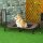 Hundeliege Outdoor, Kühlendes Haustierliege für Groß Hunde, Erhöhtes Hundebett Schlafplatz mit robuster Metallrahmen, Atmungsaktivem Mesh für Garten Outdoor, 92 x 76 x 18 cm, Kaffee-Braun