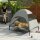 Hundeliege Outdoor mit Dach, Erhöhtes Hundebett für Große Hunde, 106 x 76 x 99 cm, Hellgrau