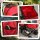 Hundebuggy Hundewagen bis 10kg klappbar verstellbares Vordach Oxford Rot 76,5 x 52 x 95 cm