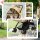 Hundewagen Hundebuggy klappbar, 1 Korb, 2 Bremsen, inkl, Sicherheitsleine, Hellbraun