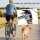 Fahrradleine für Hunde mit Stoßdämpfern verstellbar Gurt abnehmbar Schnellverschluss für Training Joggen Silber+Schwarz
