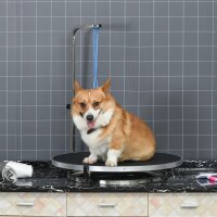 Trimmtisch für Hunde drehbar Hundepflegetisch mit...