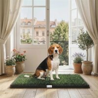 Hundetoilette 76 x 50,5 cm Hundeklo mit 2 Kunstrasen...
