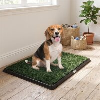 Hundetoilette 76 x 50,5 cm Hundeklo mit 2 Kunstrasen waschbar Welpentoilette für Hunde für Balkon Zuhause Schwarz+Grün