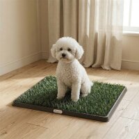 Hundetoilette 63 x 50,5 cm Hundeklo mit 2 Kunstrasen...