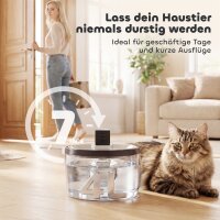 Katzenbrunnen 4L Kabellos Edelstahl Trinkbrunnen mit Bewegungsmelder 6 Filtern zweifaches Filtersystem LED Silber