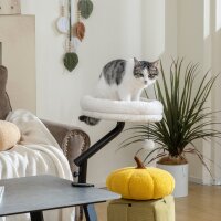 Katzen-Schreibtischbett, Katzenbett für Schreibtisch...