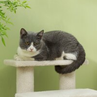 Katzentreppe 4 Stufen Tiertreppe Treppe für Katze Haustiertreppe Hundetreppe aus Plüsch 61 x 41 x 60 cm Cremeweiß