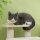 Katzentreppe 4 Stufen Tiertreppe Treppe für Katze Haustiertreppe Hundetreppe aus Plüsch 61 x 41 x 60 cm Cremeweiß
