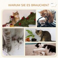 Katzentreppe, 5-teiliges Set, 2 Kratzstämme, 2 Plattformen mit Plüschbezug, Hängematte, beige