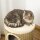 Kratztonne, Höhe 70 cm, Katzenkratzbaum für katzen 3 Ebenen Katzenbaum Kletterbaum Katzenmöbel mit Sisal Plüsch