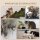 Kletterwand-Set für Katzen, Hängematte, Kratzbrett, Sprungplattformen, Plüsch, Sisal, Grau