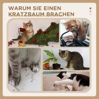 Kratzbaum 72 cm Katzenturm mit Plüschballen, Sisalstämme, Plattform, Kratzbrett Hellgrau