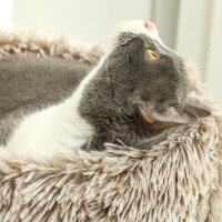 Katzenbaum, 87 cm, Katzenturm mit dickem Kratzpfosten, Plüschbett, für den Innenbereich, trägt bis zu 6 kg, Braun