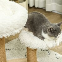 Katzenbaum, 61,5 cm, mit Katzenbett, Kratzpfosten, Sprungplattform, Spielzeugball, für Katzen bis zu 5 kg, Weiß