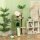 Kratzbaum, 139 cm Katzenbaum mit Höhle, Spielbällen, Sisal-Kratzpfosten und Plattformen, für zwei Katzen, Grün