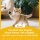Kratzbaum Katzenbaum mit Höhle, 4 Spielzeuge, Sisalstämme, große Plattform, Treppe, für Katzen unter 5 kg, Beige