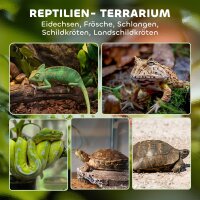 Glas-Terrarium für Reptilien, erhöhter & wasserdichter Boden, Knopfschloss