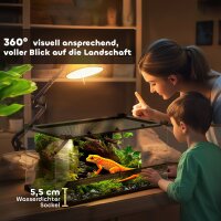 Glas-Terrarium für Reptilien, erhöhter & wasserdichter Boden, Knopfschloss