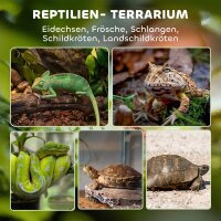 Glas-Terrarium für Reptilien, erhöhter & wasserdichter Boden, Knopfschloss