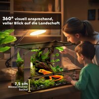 Glas-Terrarium für Reptilien, erhöhter & wasserdichter Boden, Knopfschloss