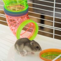 Hamsterkäfig 5 Etagen Nagerkäfig Kleintierkäfig aus Stahldraht mit Laufrad, Rampe, Trinkflasche, Futternapf, Mäusekäfig für Hamster, Rennmaus 59 x 36 x 69 cm, Hellblau+Weiß