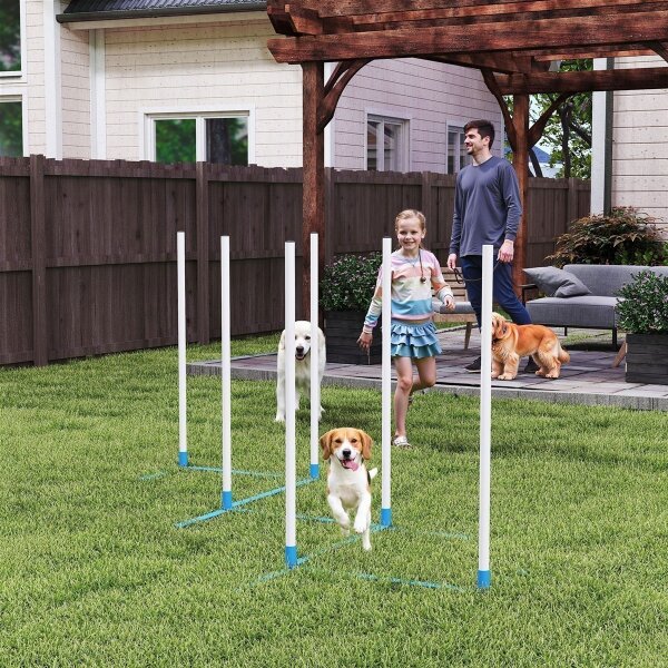 Agility Set Hunde 6-teiliges Agility-Ausrüstung für Hundetraining klappbar Steckhürdenset mit 6 Slalomstangen Tragetasche Trainingszubehör Koordinationstraining Agilityset für Spiele Training