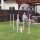 Agility Set Hunde 6-teiliges Agility-Ausrüstung für Hundetraining klappbar Steckhürdenset mit 6 Slalomstangen Tragetasche Trainingszubehör Koordinationstraining Agilityset für Spiele Training