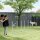 Agility Set Hunde 6-teiliges Agility-Ausrüstung für Hundetraining klappbar Steckhürdenset mit 6 Slalomstangen Tragetasche Trainingszubehör Koordinationstraining Agilityset für Spiele Training