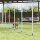 Agility Set Hunde 6-teiliges Agility-Ausrüstung für Hundetraining klappbar Steckhürdenset mit 6 Slalomstangen Tragetasche Trainingszubehör Koordinationstraining Agilityset für Spiele Training
