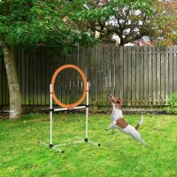 Agility Sprungring für Hunde, Agility Set Hunde,...