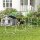 Agility Set Hunde 4-teiliges höhenverstellbar Agility-Ausrüstung Sprungstangen-Set Steckhürdenset mit 4 Hürden Tragetasche Koordinationstraining Sprungstangen-Set für Spiele Training