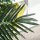 Künstliche Palme 125cm Groß Kunstpflanze mit 18 Palmenwedel im Topf für Wohnzimmer Balkon