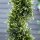 Künstliche Spiralpflanze, Spiral-Zedernbaum mit Topf, 90 cm, künstliche Zeder für Außen- und Innendekoration, Grün