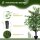 Künstlicher Ficus-baum groß 145 cm, Kunstbaum, Kunstpflanze, Plastik Künstliche Pflanzen im Topf, Fake Plant wie echt für Wohnzimmer Schlafzimmer Büro Garten Moderne Dekoration Geschenk