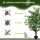 Künstlicher Ficus-baum groß 145 cm, Kunstbaum, Kunstpflanze, Plastik Künstliche Pflanzen im Topf, Fake Plant wie echt für Wohnzimmer Schlafzimmer Büro Garten Moderne Dekoration Geschenk