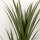 Künstliche Yucca groß 190cm Kunstpflanze, Plastik Künstliche Pflanze im Topf, 17 x 17 x 190 cm Smaragdgrün